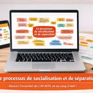 Cartes mentales : Le processus de socialisation et de séparation
